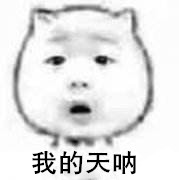 真希望考CPA的过程能和王源年少成名的过程一样